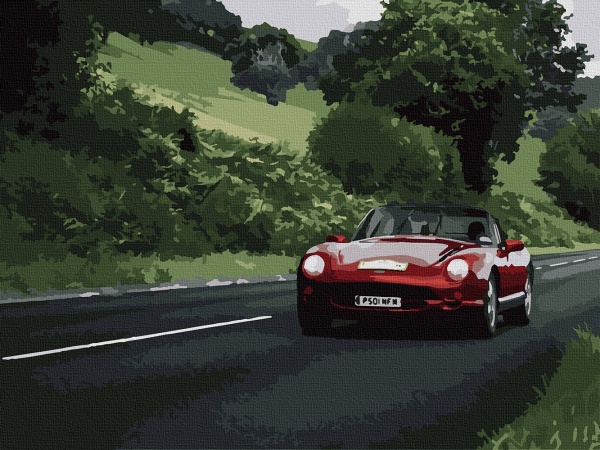 Картина за номерами Насолоджуйся швидкістю 10520-AC 40х50 см ArtCraft 