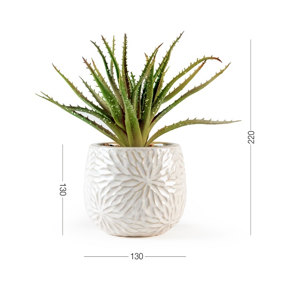 Растение декоративное DH-FLOWERS-13 GREEN/BEIGE MVM