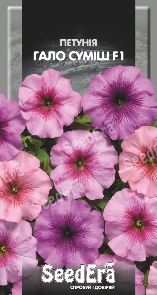 Насіння SeedEra петунія Гало Суміш F1 10 шт. (4823114404498)