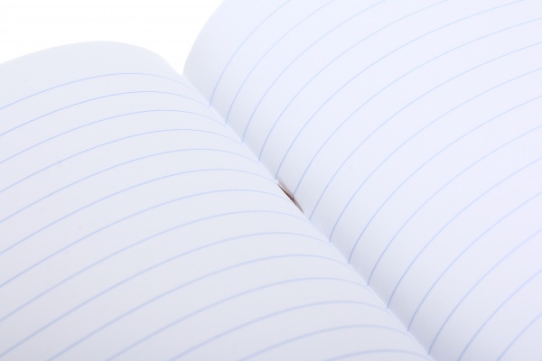 Зошит шкільний з глітером 12 аркушів у лінійку в асортименті Мрії збуваються