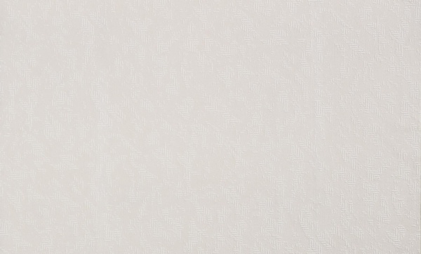 Шпалери вінілові на флізеліновій основі Bravo 86066BR91 1,06x10,05 м 