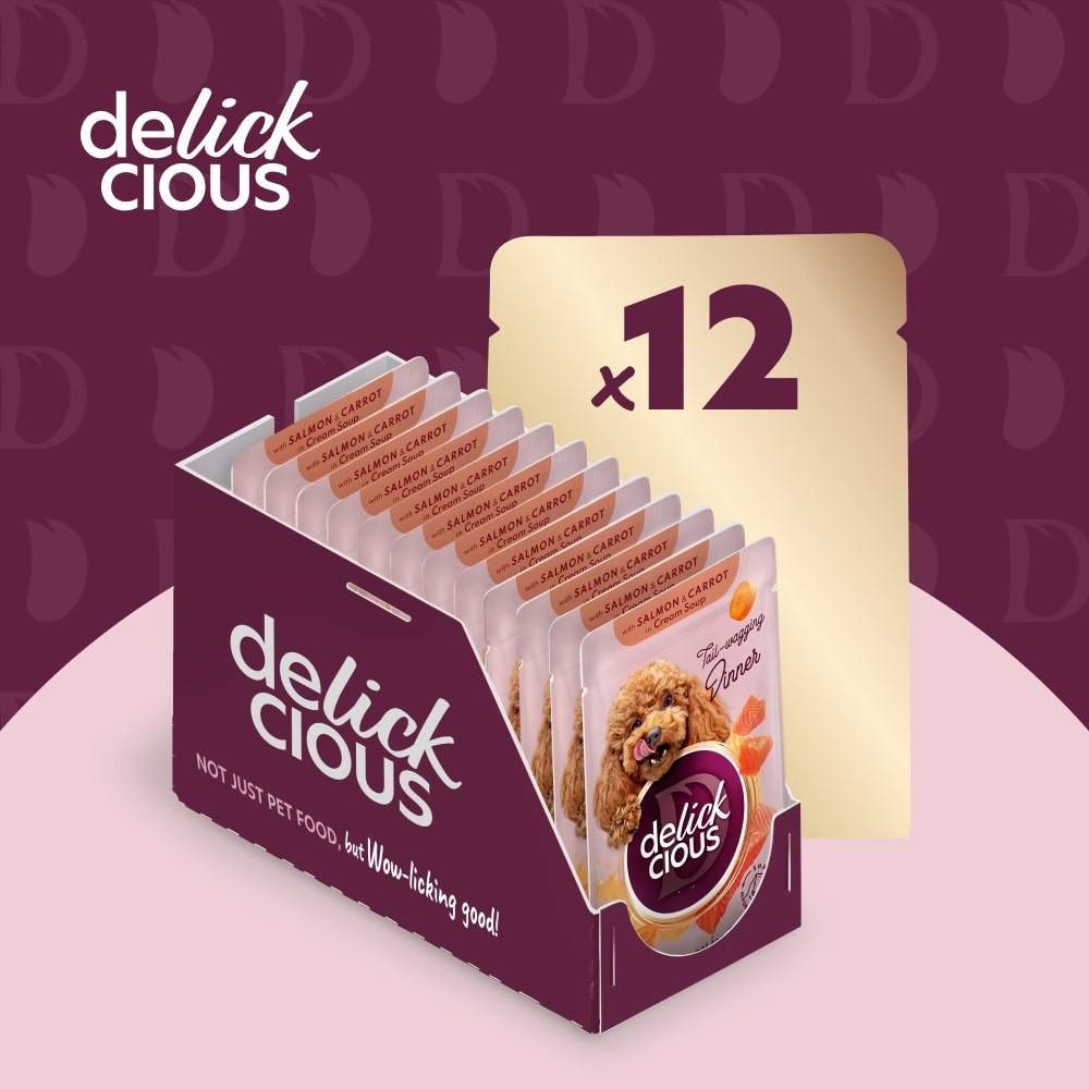 Корм влажный DELICKCIOUS «Полоски с лососем и морковью в крем-супе»