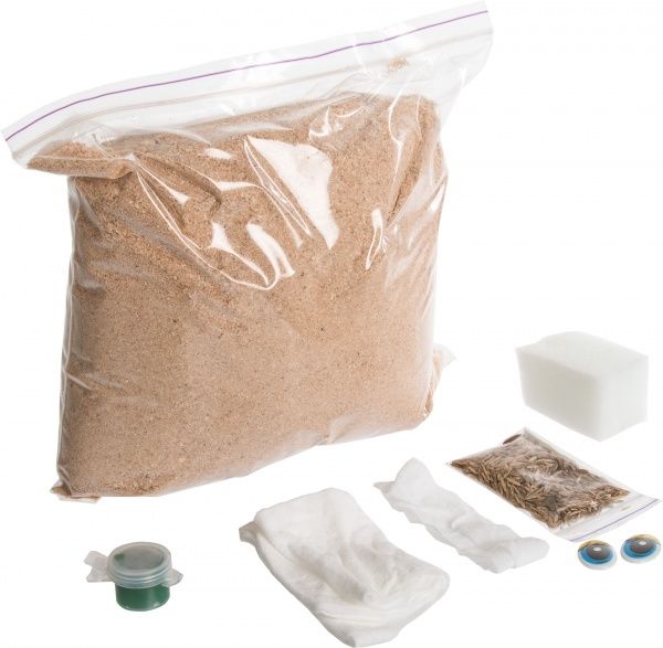 Набор для творчества Grass Toy Травяной лягушонок Softik