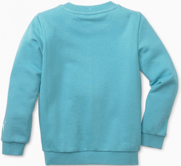 Свитшот Puma FRUITMATES Crew TR 84731461 р. 110 голубой