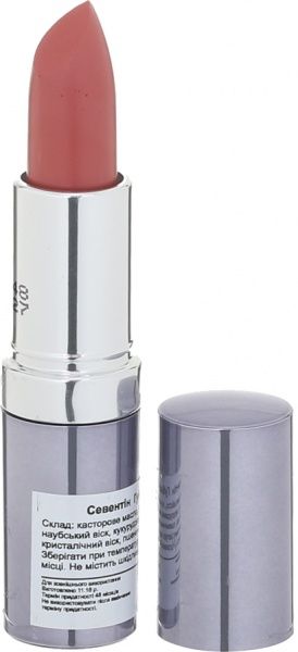 Помада губная Seventeen Lipstick Special №363 Winter Rose 5 г