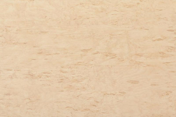 ДСП ламінована SwissPan 2440х1830х16 мм береза піскова