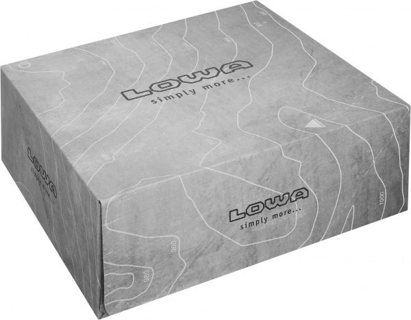 Черевики Lowa Zephyr GTX MID TF р.10 black 