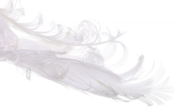 Набір новорічних декорацій Пташка 2 шт. 16 см EPI-D103142-white 