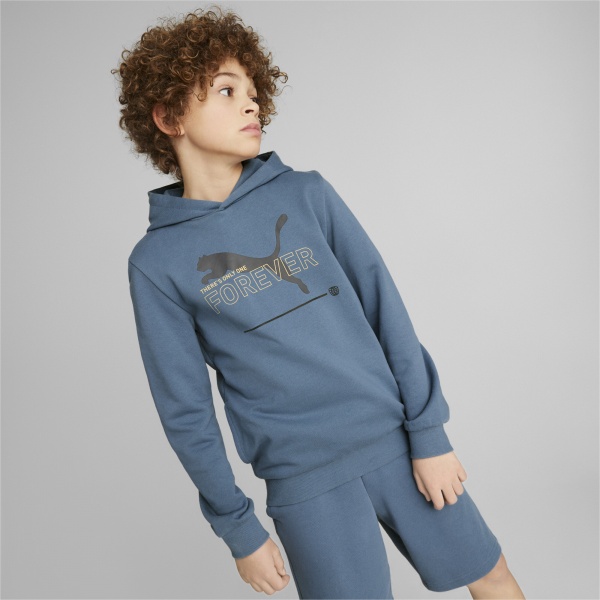 Джемпер Puma ESS BETTER HOODIE TR KIDS 67365917 р. 152 синій