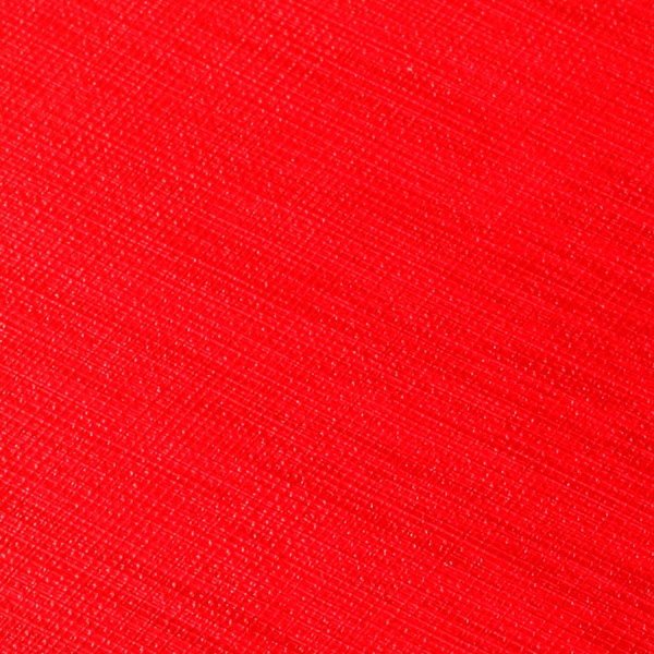 Органайзер червоний лінія Buromax Color Tunes A5 BM.295200-05