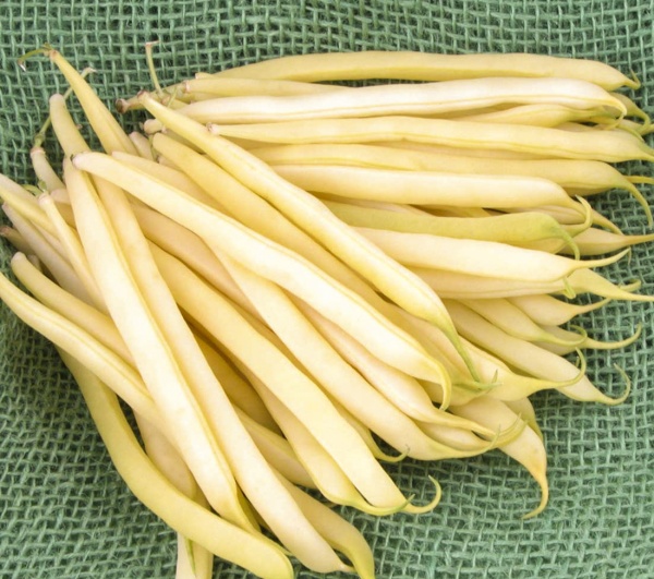 Насіння Професійне насіння квасоля спаржева Лаура 10г (4823058205687)