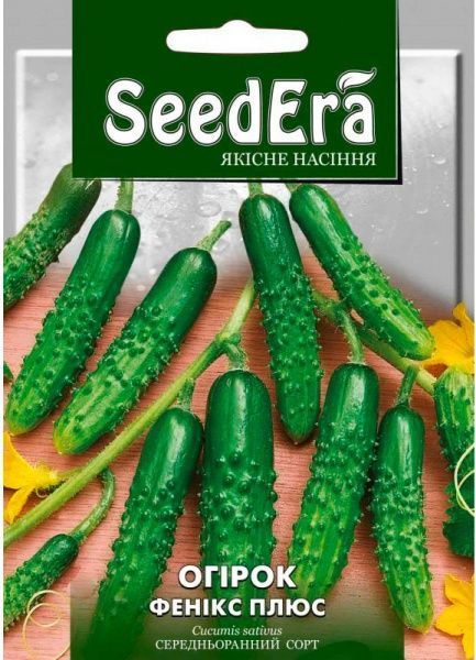 Семена Seedera огурец Феникс Плюс 20г