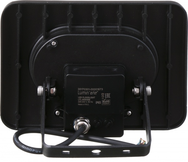 Прожектор з датчиком руху LuminArte 50 Вт IP65 чорний 