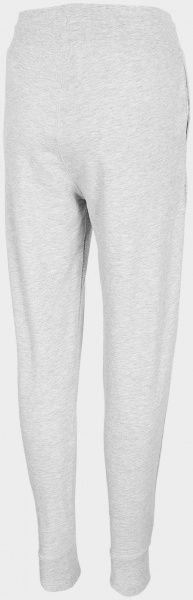 Штани 4F NOSD4-SPDD300-27M р. 2XL сірий