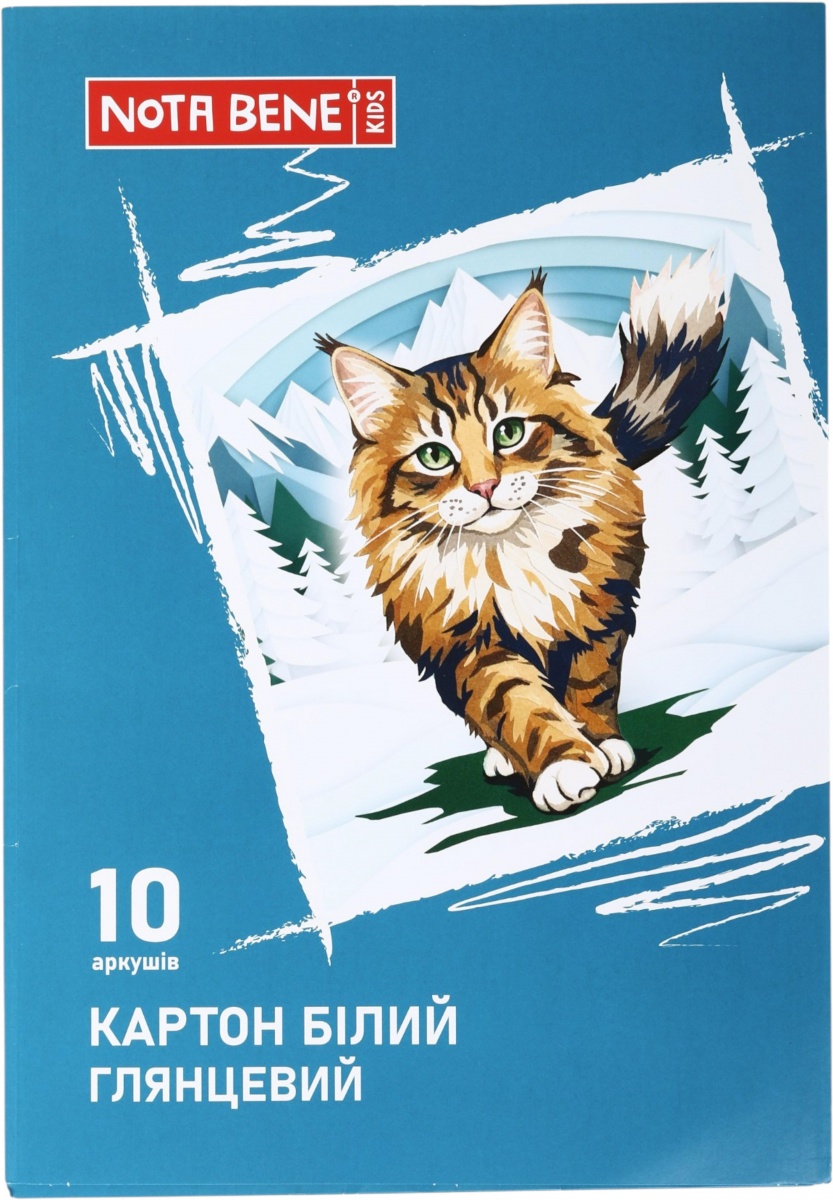 Набор белого картона глянцевого А4 10 листов Nota Bene — фото 1