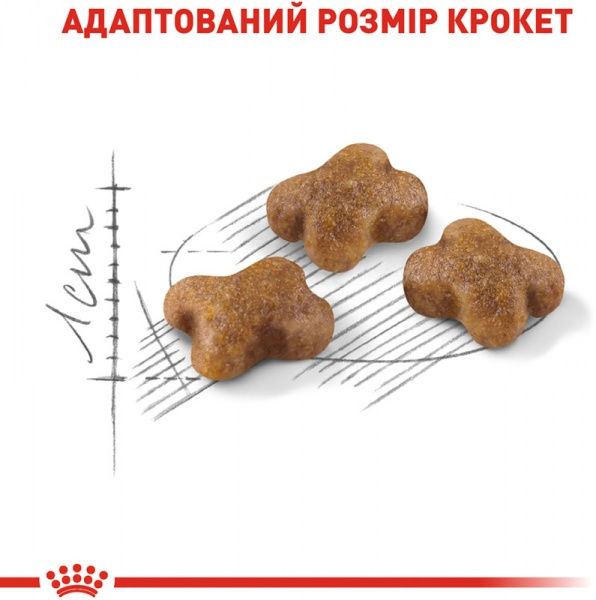 Корм Royal Canin Kitten 400 г