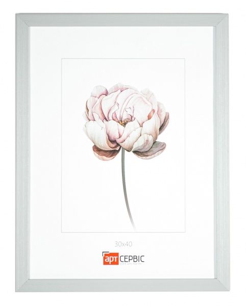 Рамка для фото Арт-Сервіс ЭА-01651 21х30 см светло-серый 