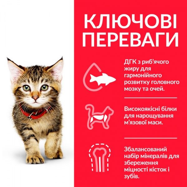 Корм Hill's Science Plan Kitten з куркою 300 г