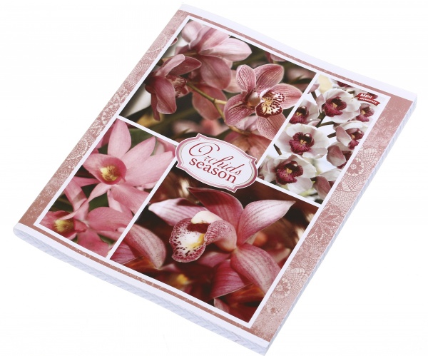 Тетрадь школьная 96 листов в клеточку в ассортименте Мечты сбываются