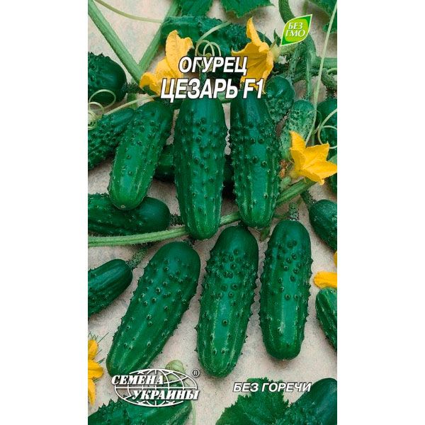 Насіння Семена Украины огірок Цезар F1 0,5г