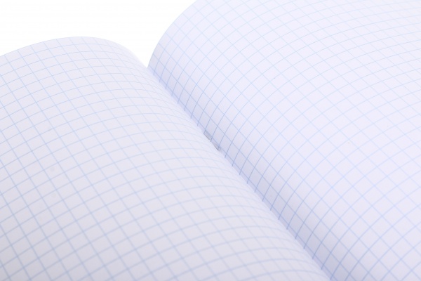 Тетрадь школьная 48 листов в клетку Айвори серия 4