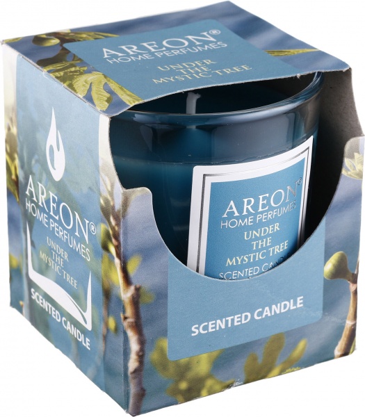 Свеча ароматическая Areon Under the Mystic Tree 120 г 