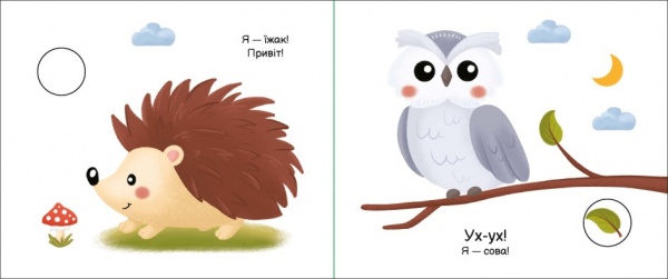 Книга Н. Мірошниченко «У лісі» 9-789-667-511-869