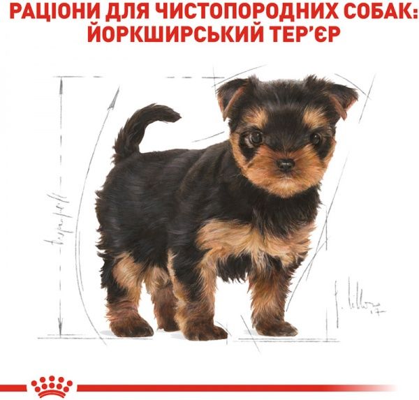 Корм Royal Canin для щенков YORKSHIRE TERRIER PUPPY 1,5 кг