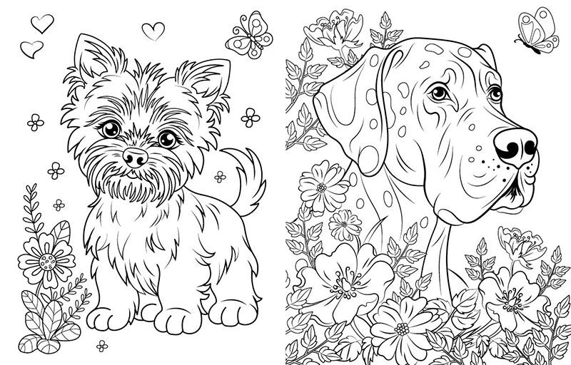 Книга Юлия Каспарова «Велика книга розмальовок: Коти та собаки» 978-617-09-7221-7