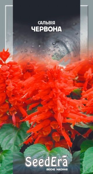 Семена Seedera сальвия блестящая красная 0,1 г