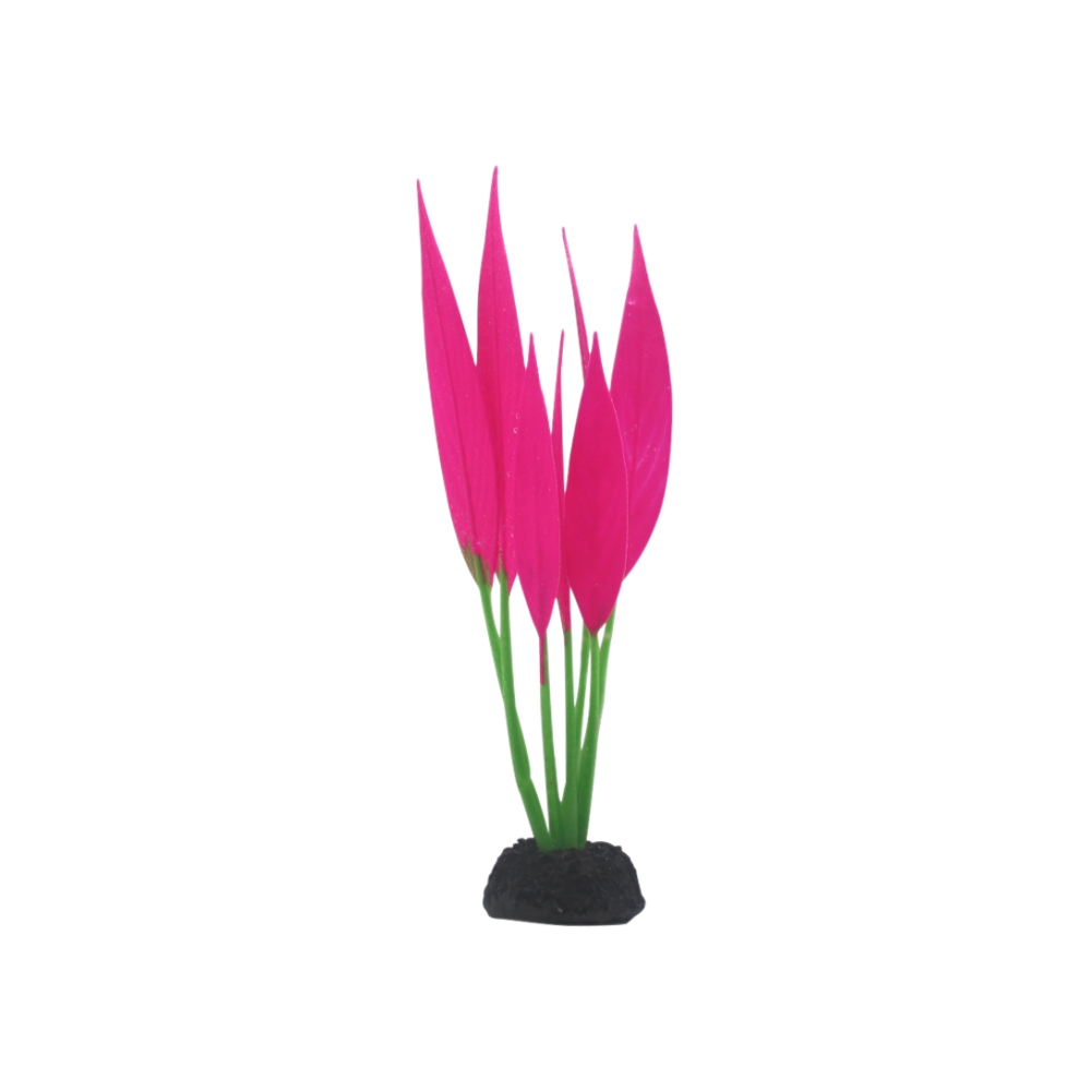 Декорація Deming Гігрофіла