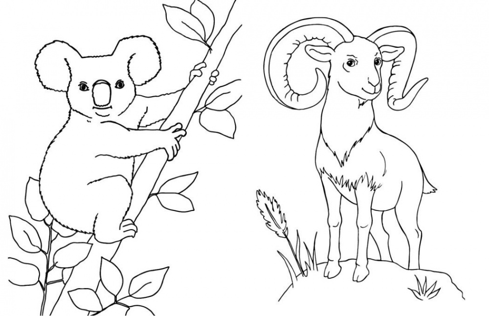 Книга «Велика книга розмальовок: Тварини» 978-617-09-7221-7