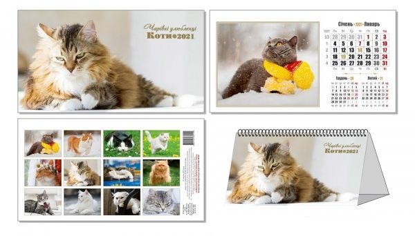 Календар перекидний «Чарівні улюбленці (Коти) на 2021 рік» 4820144130144
