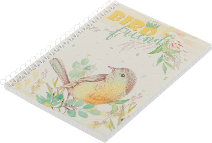 Тетрадь школьная А6 на пружину 60 листов в клеточку