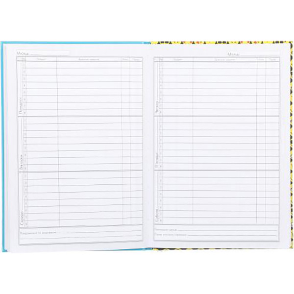 Дневник школьный серия Smiley World 2251593024012