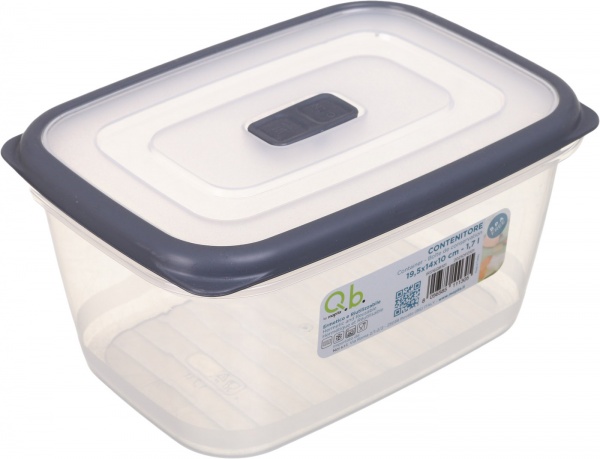 Контейнер 19,5х14х10 см в ассортименте IRS16QB101 Eurogold