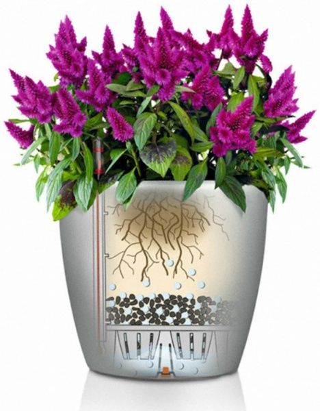 Вазон пластиковый Lechuza Classico Premium LS 35 круглый 39,1л белый 