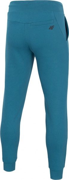 Брюки 4F NOSD4-SPMD301-32S р. 2XL синий