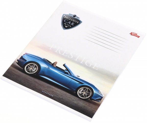 Тетрадь школьная с глитером 48 листов в клеточку в ассортименте Мечты сбываются