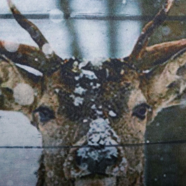 Подушка KM зі штучним хутром поліестер 45x45 см в асортименті 