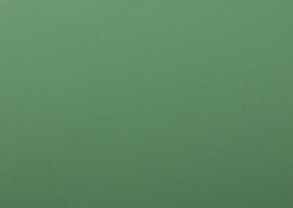 Папір для дизайну Fotokarton № 53 зелений мох A4  21x29,7 см 300 г/м² Folia