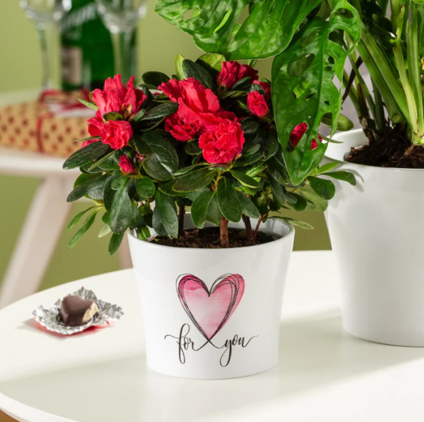 Кашпо під вазони 808 With Love, 11