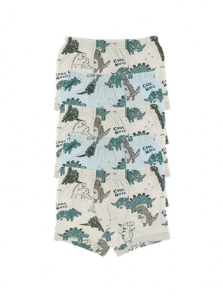 Труси для хлопчика DONI 75767 р.122-128 в асортименті 