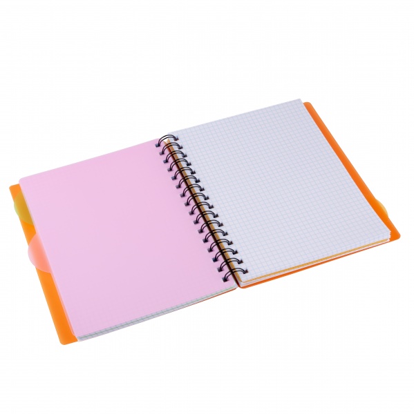 Тетрадь офисная А5/144 Гусь YES