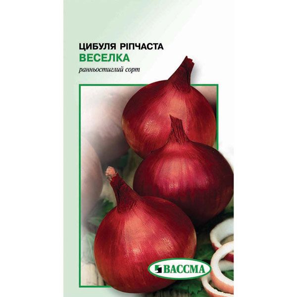 Семена Лук репчатый Радуга 2 г