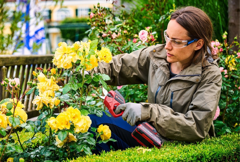 Секатор аккумуляторный Einhell Professional PXC GP-LS 18/28 Li BL Kit 2.5 Ah (3408320+4512097)