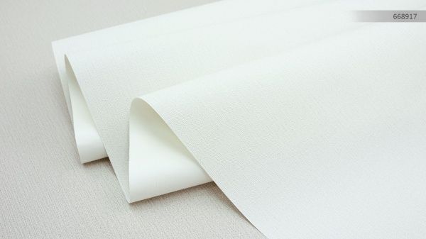 Шпалери вінілові на флізеліновій основі Sintra Cassandra UNI 668917 1,06x10,05 м 