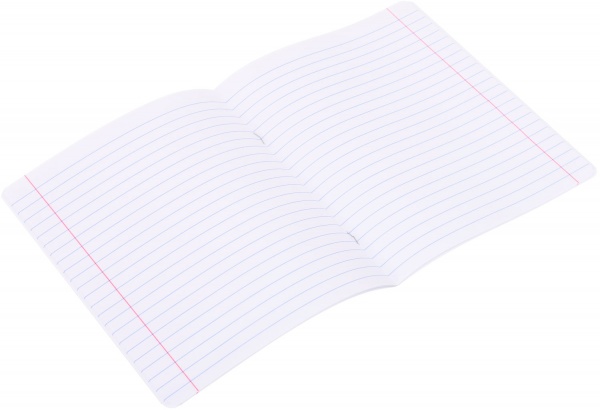 Тетрадь школьная cat 24 листа линия черный