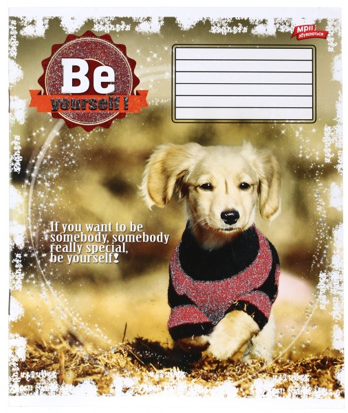 Зошит шкільний з глітером 12 аркушів у лінійку в асортименті Мрії збуваються