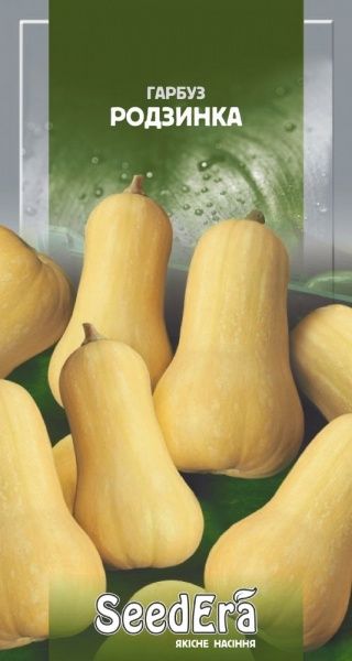 Семена Seedera тыква Изюминка 2г